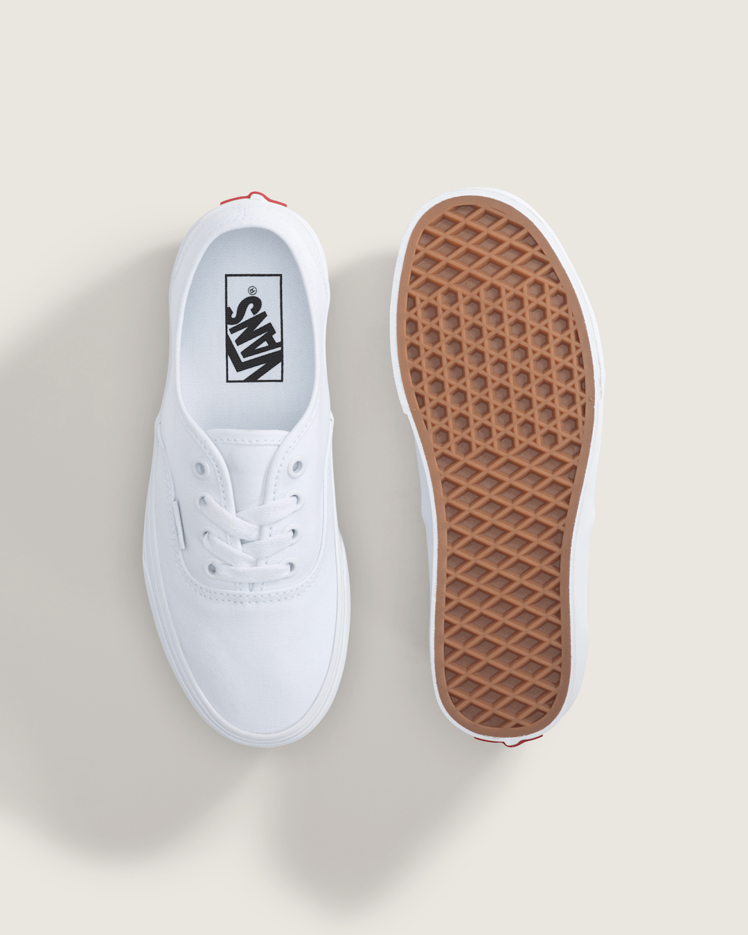 Vans Big Kids Authentic Shoe in True White