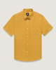 Harvest Gold Yellow